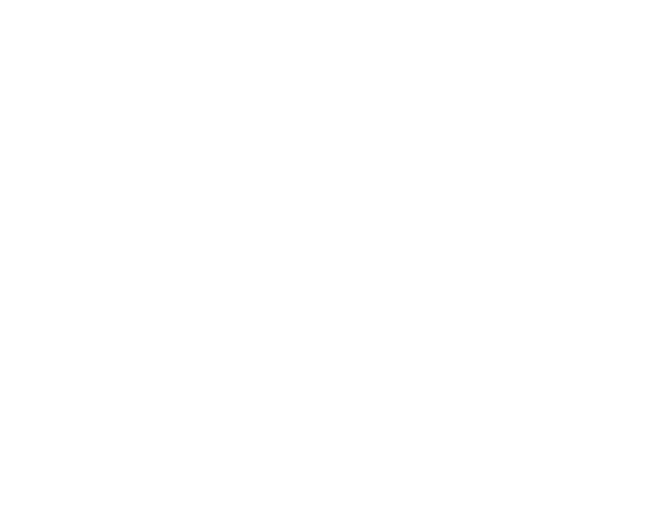 Horses Dreams Logo